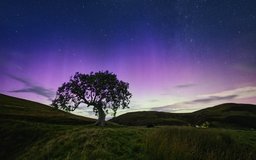 Aurora and Meteor by the Frandy Tree, 20230918