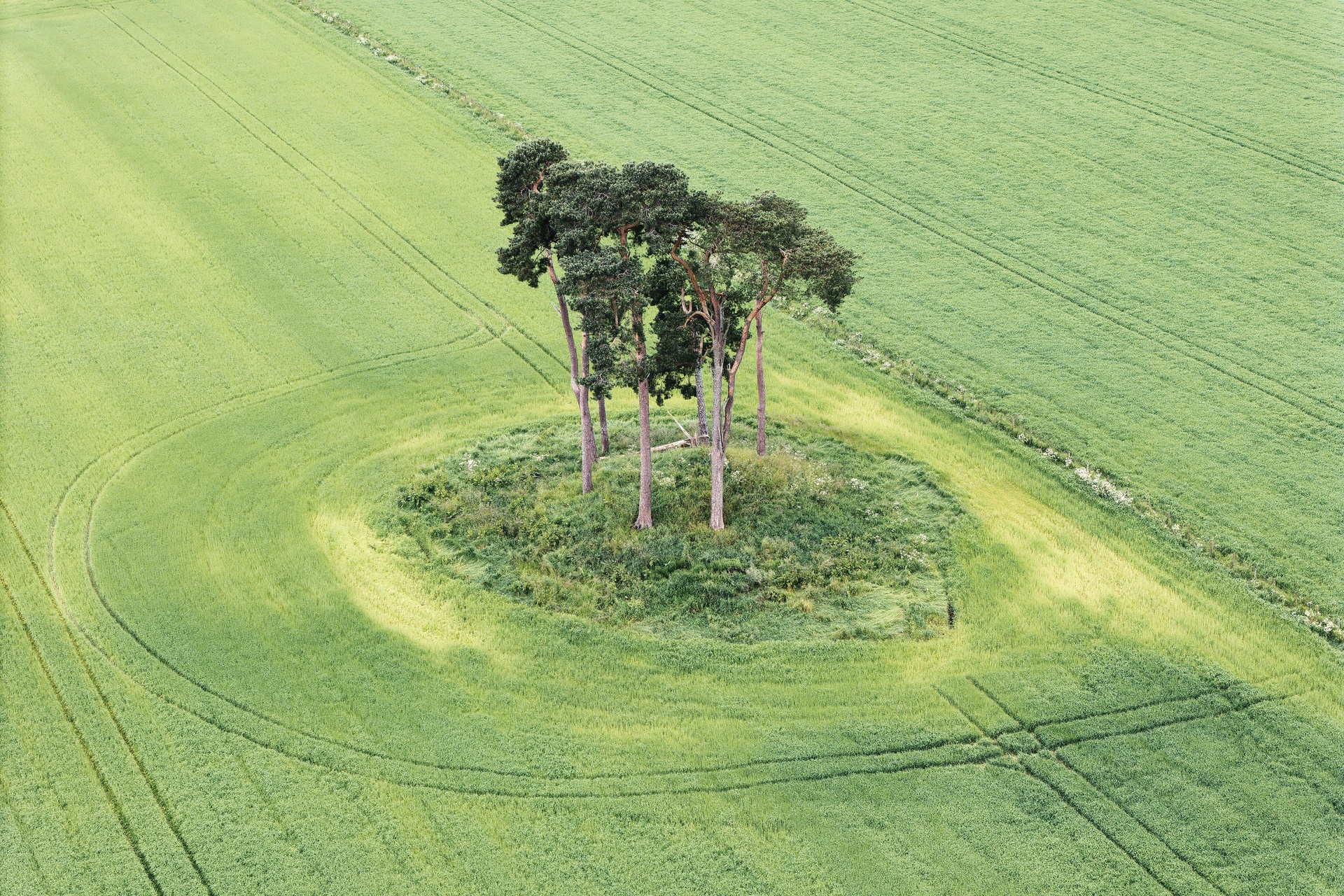 Dunfallandy Cairn