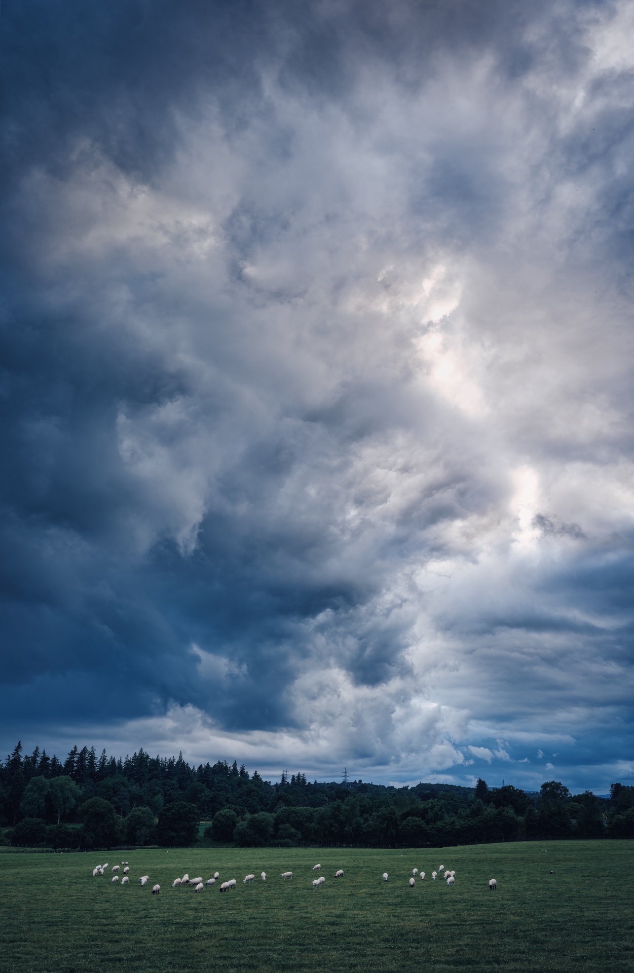 Evening Clouds