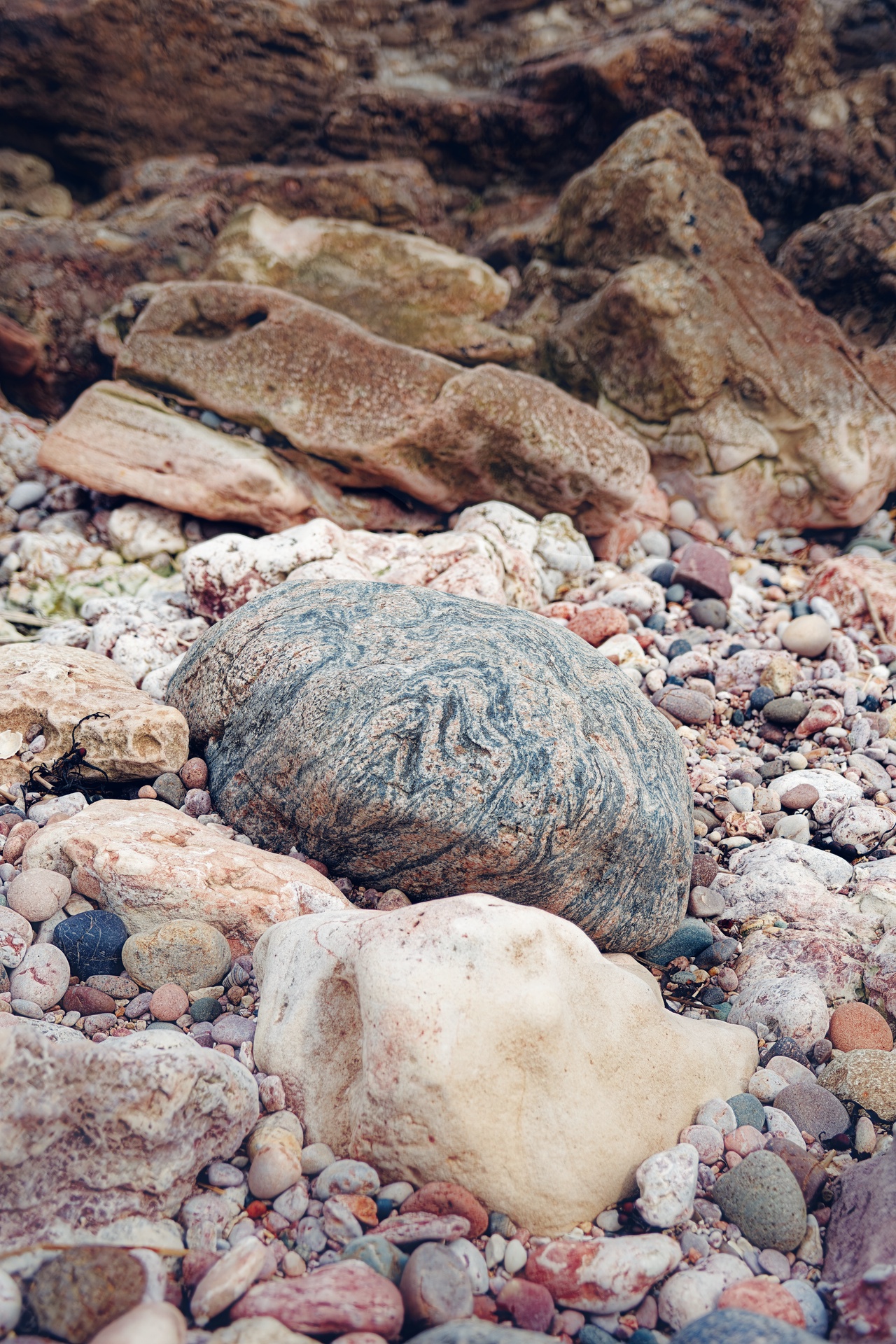 Gneiss Boulder