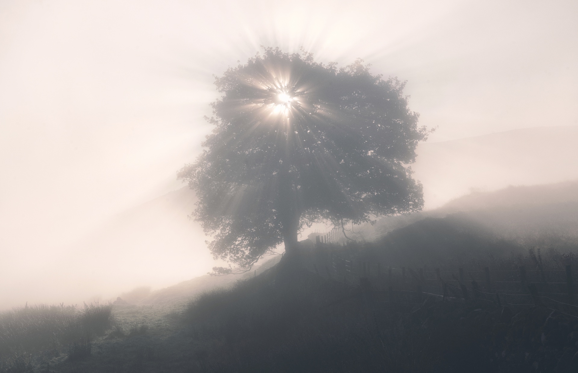 Light and Fog 3