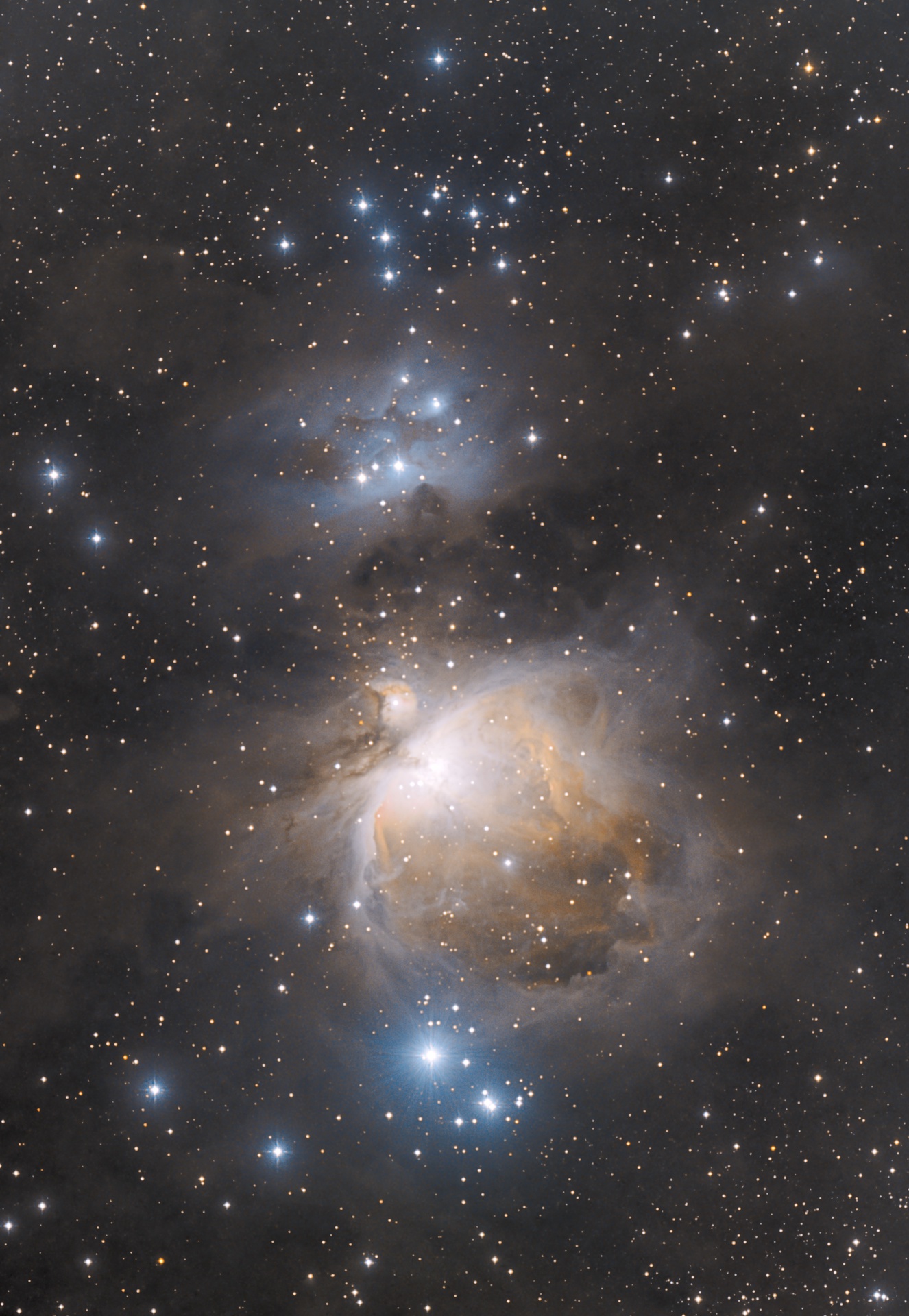 M42: the Great Nebula in Orion