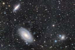 M81, M82, NGC3077 and IFN