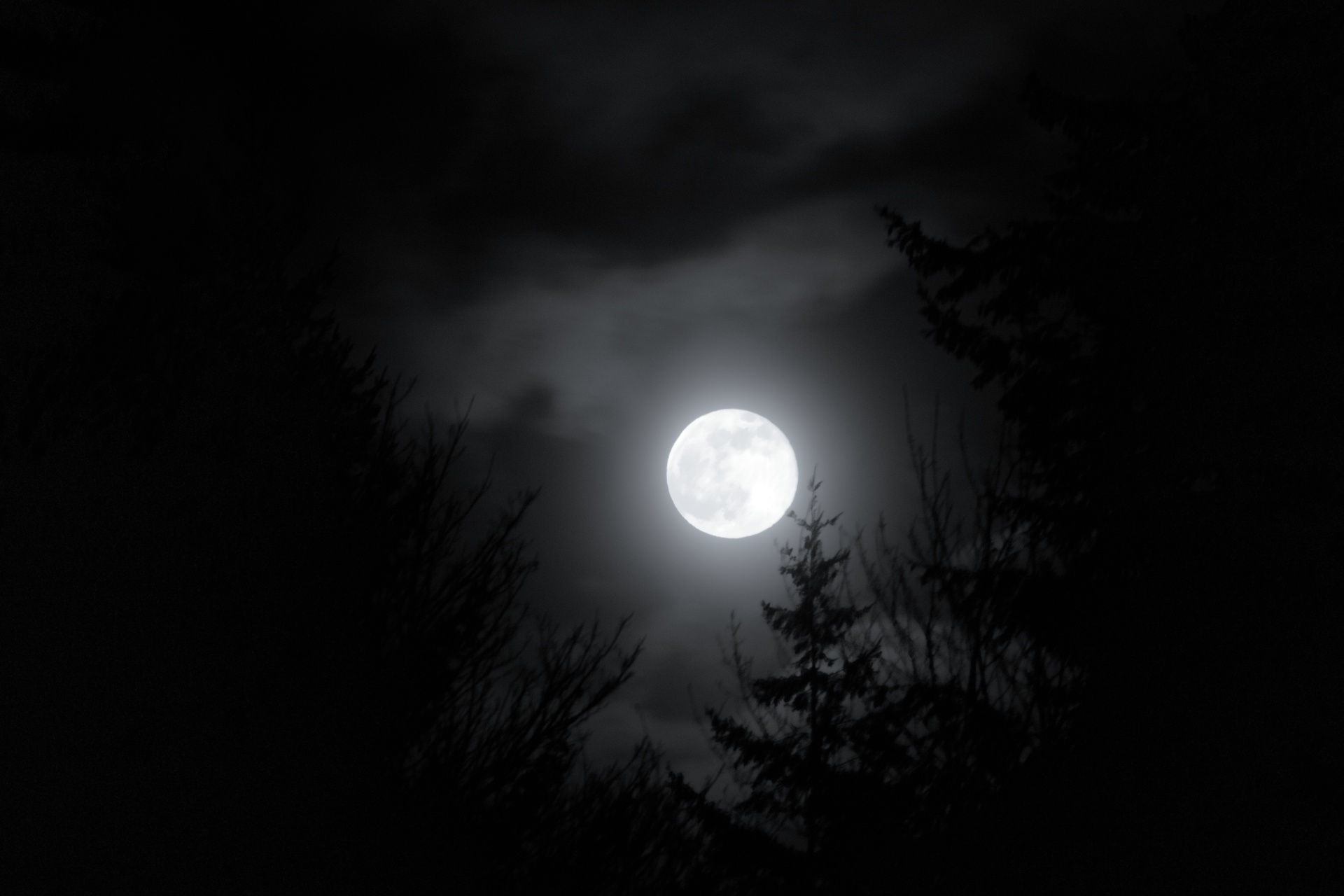 Moonrise, Logierait, Perthshire