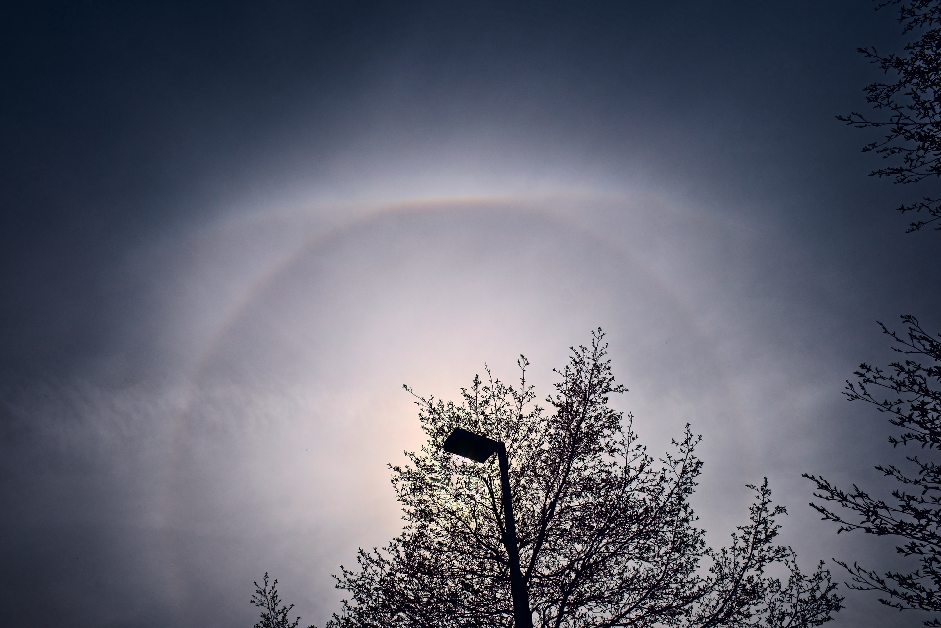 Solar Halo and Upper Tangent Arc